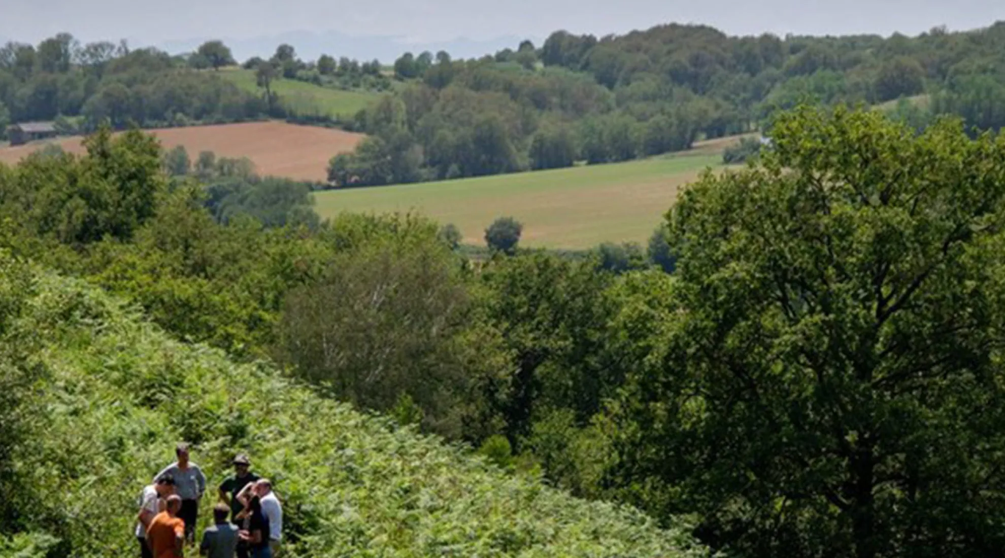 Vue du Béarn et des plantations réalisées par RTE