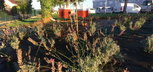Les « Jardins de Noé » : une belle reconnaissance pour RTE-Est, un joli geste pour l’environnement !