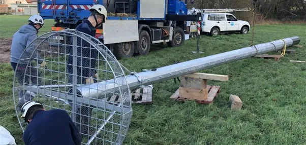 Quand l’oiseau fait son nid… 