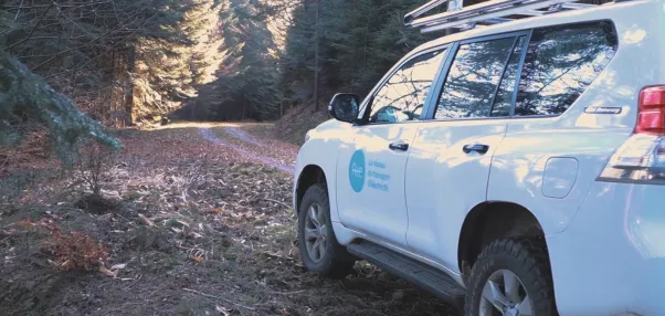 Coupes sélectives - FND 2020