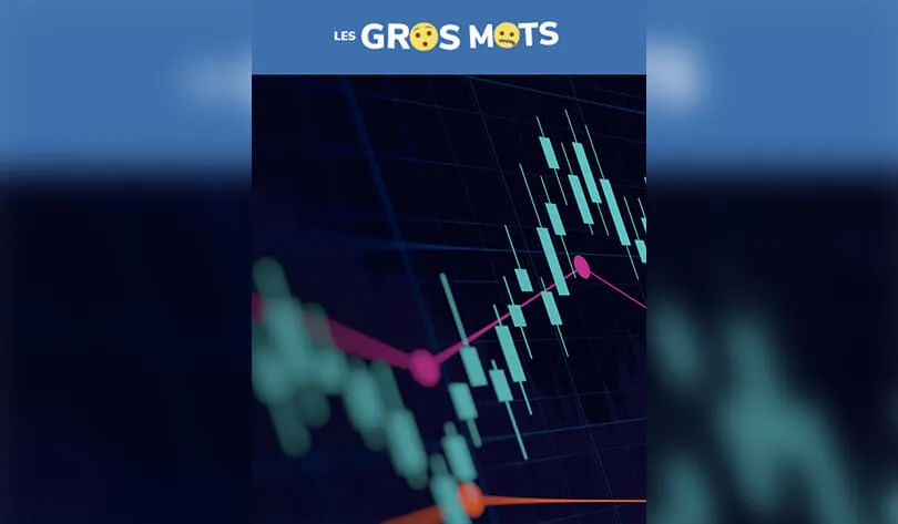 LGM : Le foisonnement, c'est quoi ?