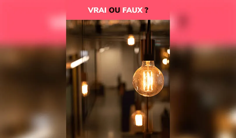 Vrai ou faux : Les ampoules LED sont-elles efficaces pour réussir la transition énergétique ?