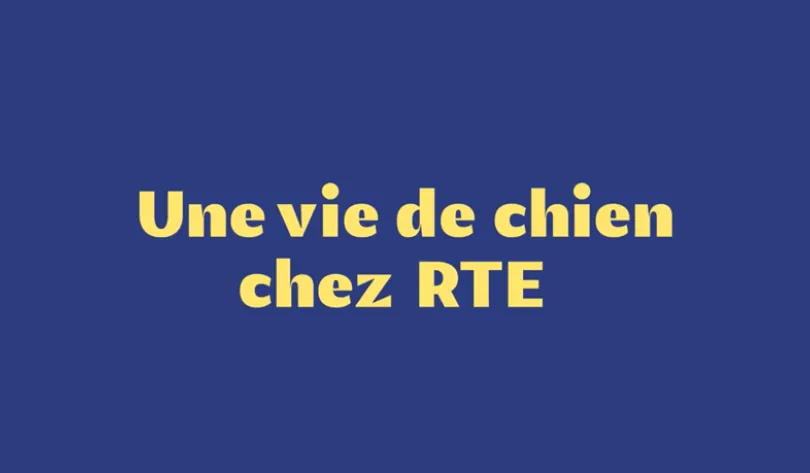 Une vie de chien chez RTE