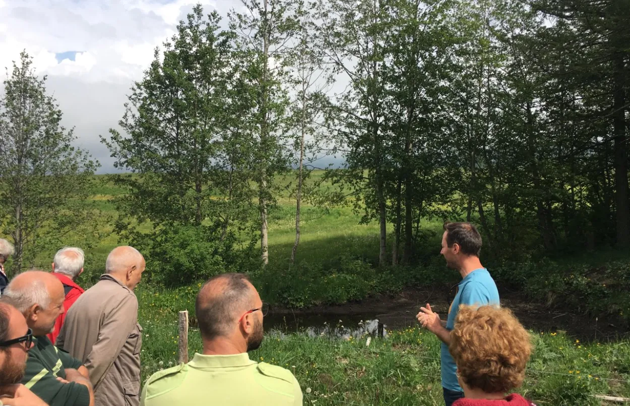 RTE, le Parc naturel régional des Pyrénées Catalanes et l’Office national des forêts inaugurent des aménagements en faveur de la biodiversité sous une ligne électrique 