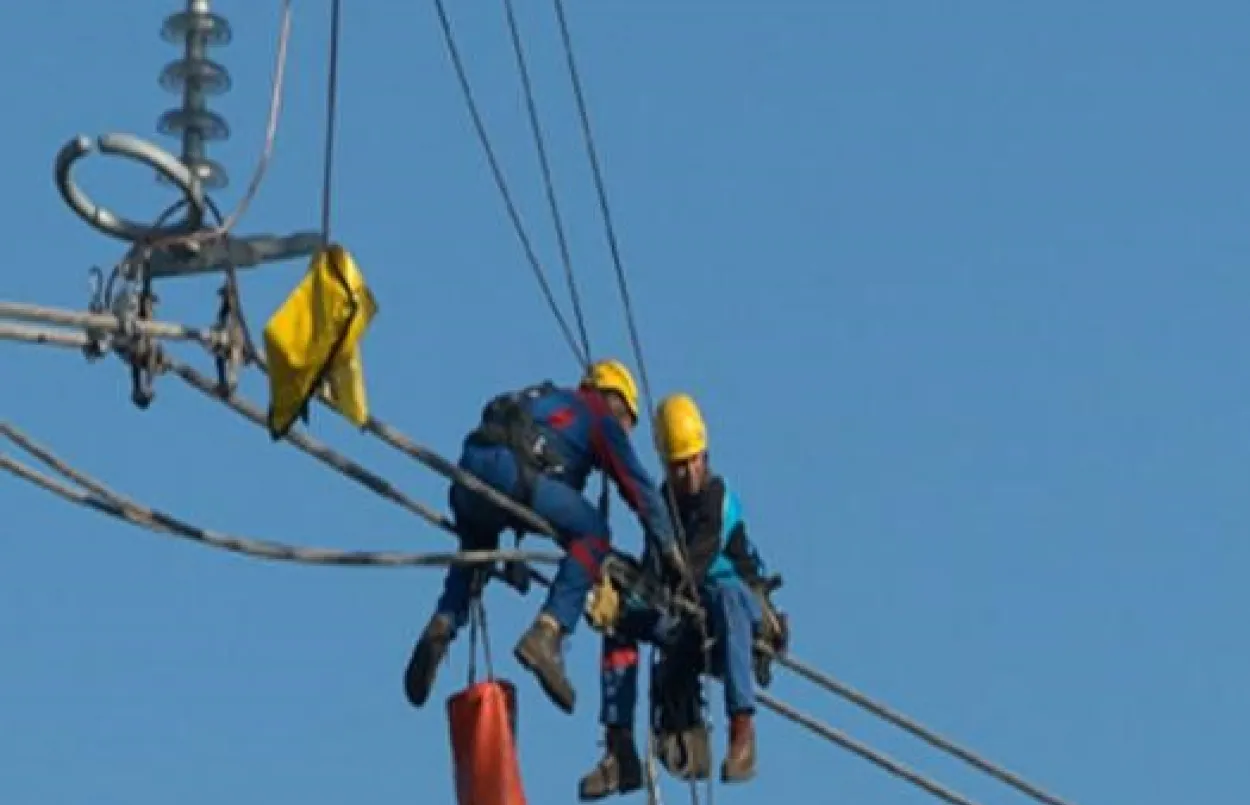 Vallée du Rhône vignette