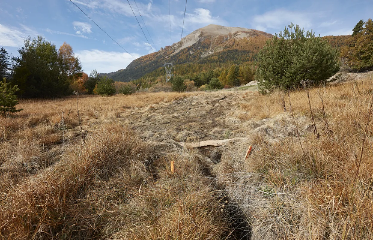 Zone humide bas marais alcalin
