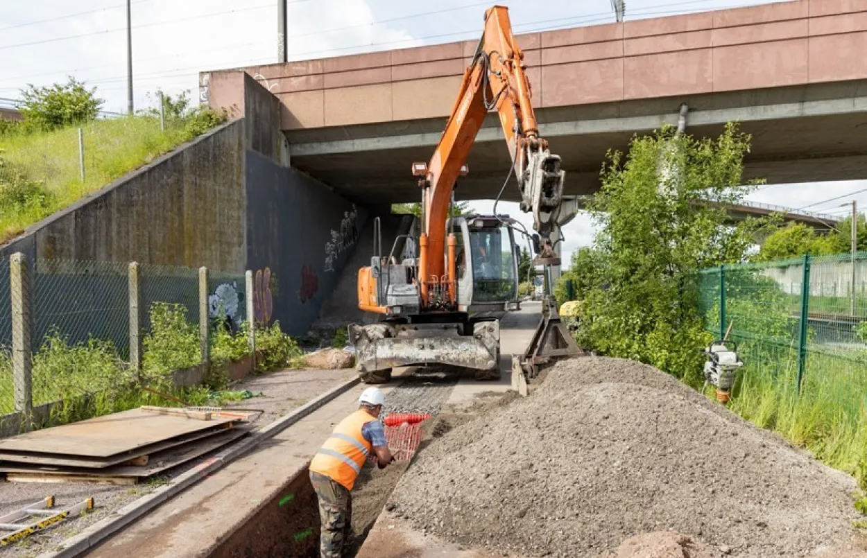 Travaux D200 vignette