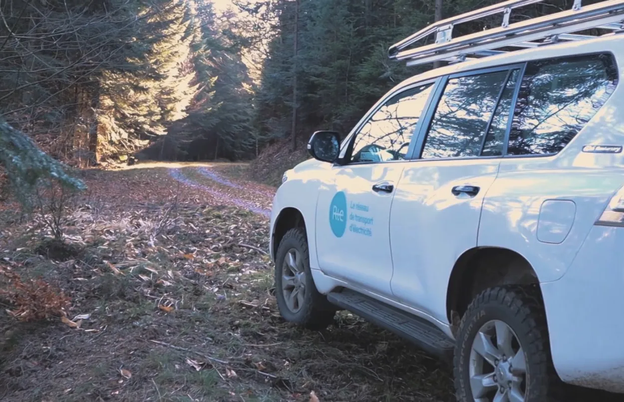 Coupes sélectives - FND 2020