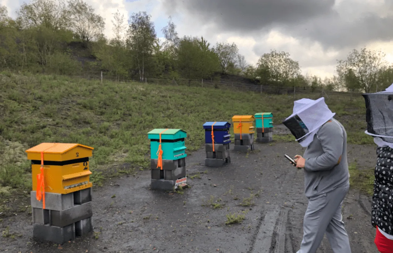 abeilles vignette