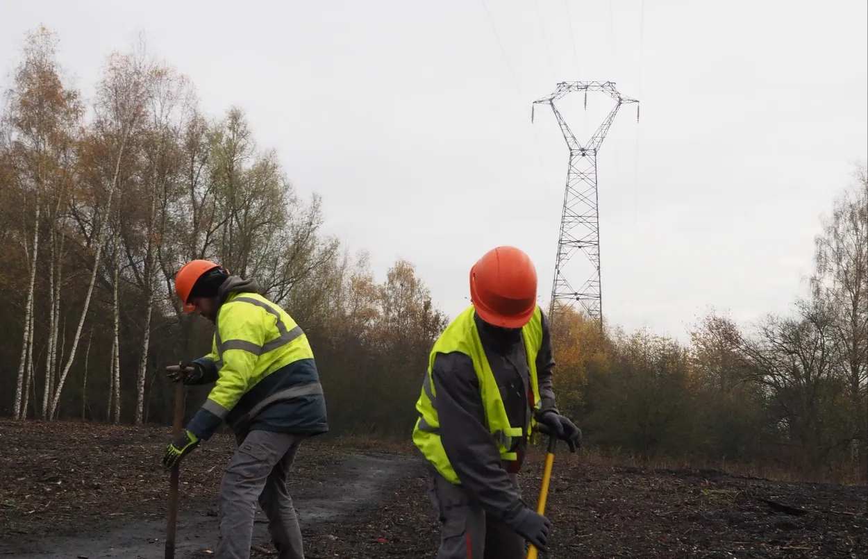 RTE sécurise le réseau électrique par l’entretien de la végétation au Terril du Renard