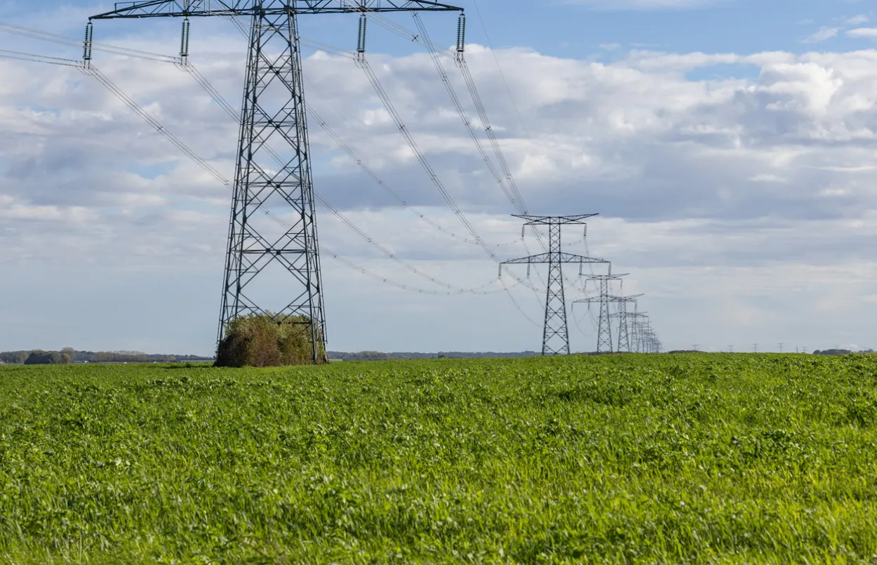 Pylones électriques dans un champs
