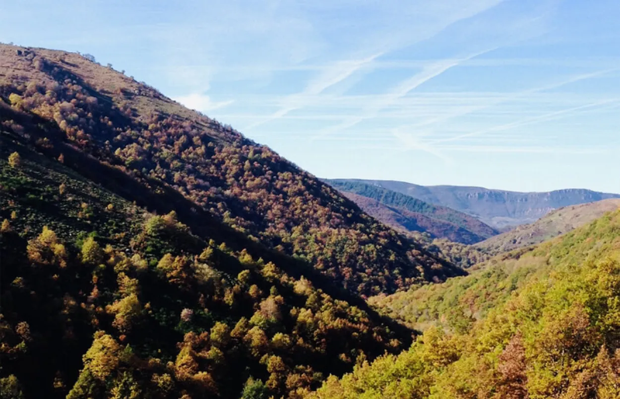 Parc national des Cévennes - Vignette