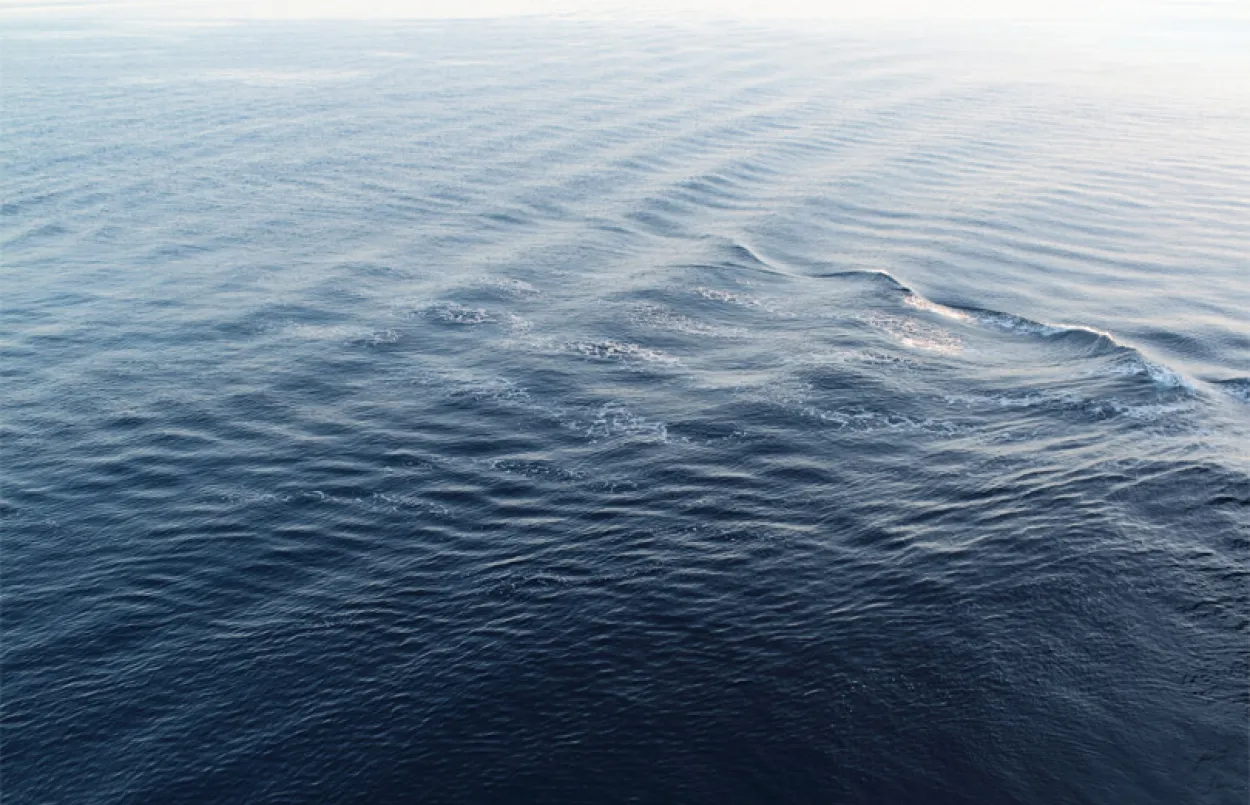 Raccordement des éoliennes flottantes au large de la Narbonnaise - Vignette