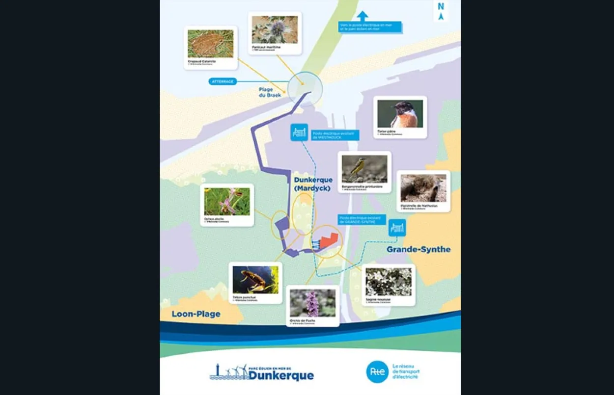 Dunerkque - Étude d’impact environnemental - Vignette