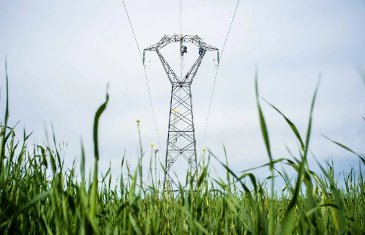 Renforcement d’une liaison à très haute tension 400 kV entre la France et la Belgique - Vignette