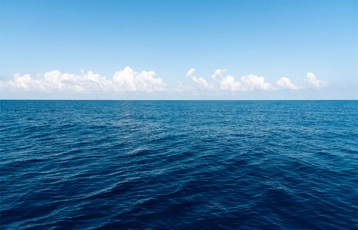 Études en mer et à terre au large du Golfe de Fos - Vignette