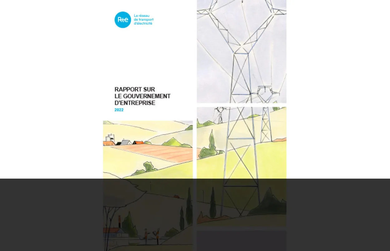 Synthèse - Rapport de Gouvernance 2022 - Vignette