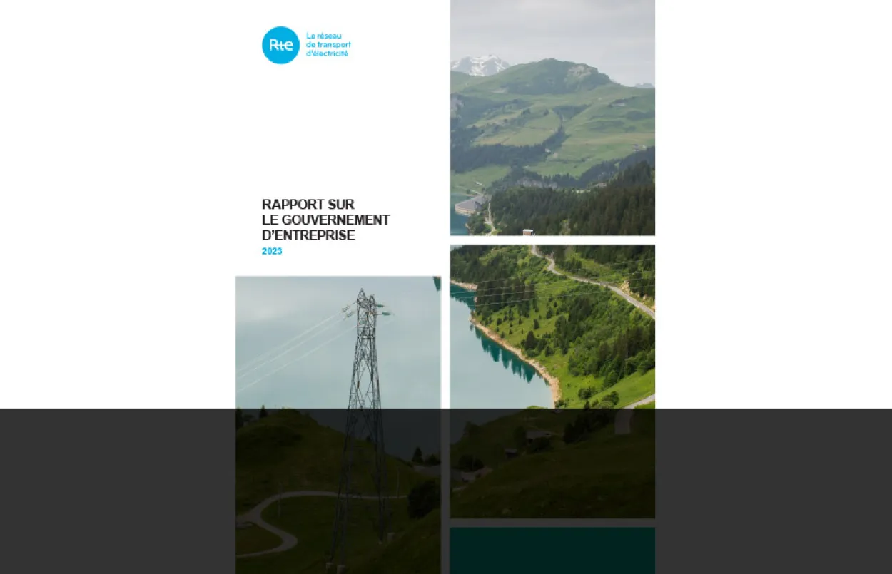 Synthèse - Rapport de Gouvernance 2023 - Vignette