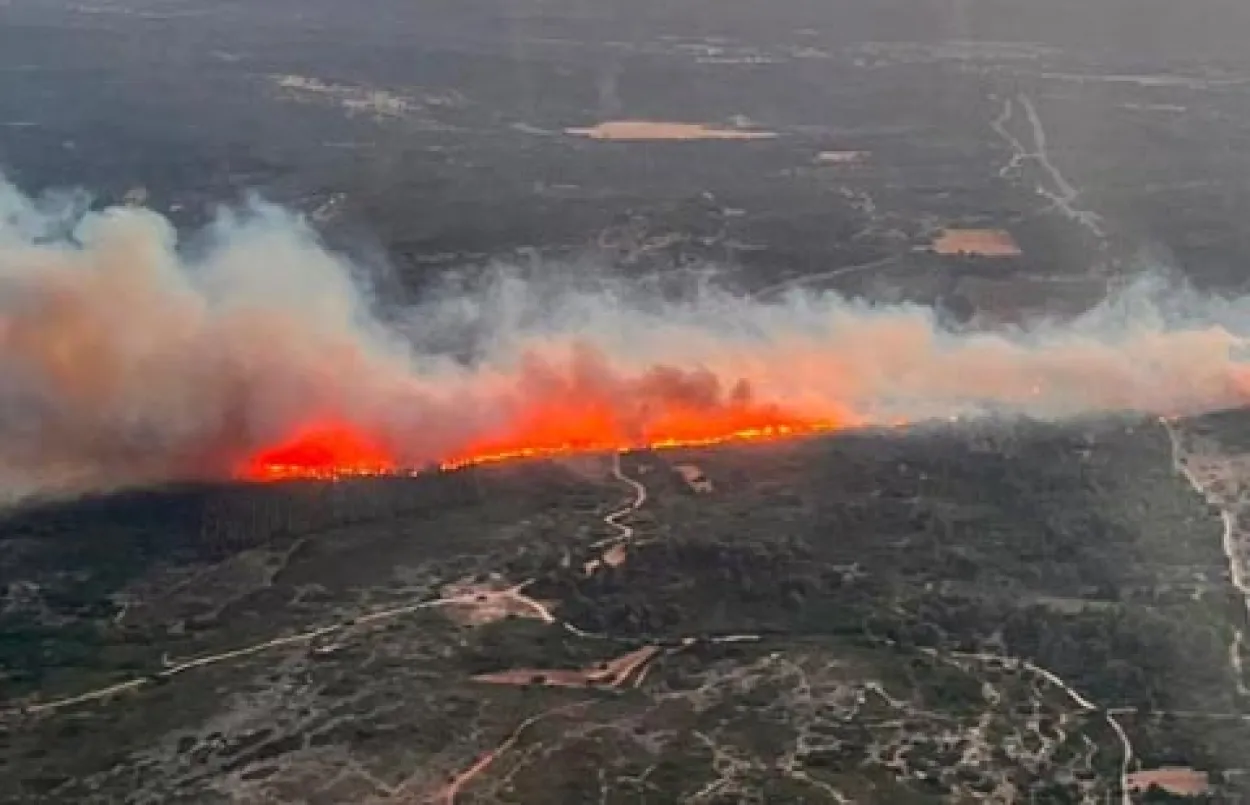 Over 44,000 Hectares of French Forests Destroyed by 11,000 Fires