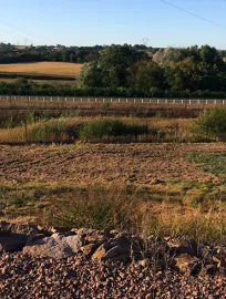Les « Jardins de Noé » : une belle reconnaissance pour RTE-Est, un joli geste pour l’environnement !