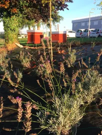 Les « Jardins de Noé » : une belle reconnaissance pour RTE-Est, un joli geste pour l’environnement !