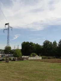 Quand l’oiseau fait son nid… 