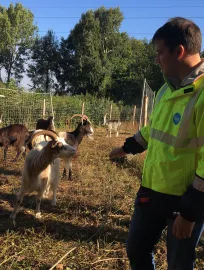 RTE - Benifontaine 3