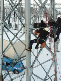 RTE - Instalation de nids sur un Pylone