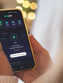 Application EcoWatt
