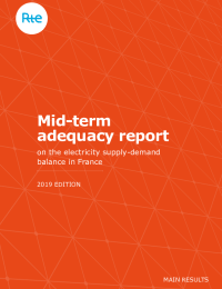 2019_generation_adequacy_report.pdf thumbnail