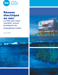 2025-06-06-reseau-electrique-en-mer.pdf thumbnail