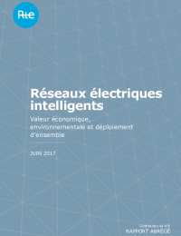Reseaux electriques intelligents 2017 - synthese.pdf thumbnail