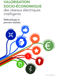 Reseaux electriques intelligents - rapport 2015.pdf thumbnail