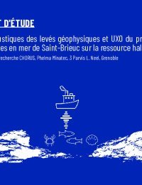 rapport-etude_chorus-juin2020.pdf thumbnail