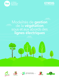 Guide pratique - Végétation sous et aux abords des lignes électriques.pdf thumbnail