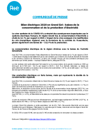 CP BER 2020 GE.pdf thumbnail