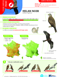 2023-03-23-avifaune-7-milan-noir.pdf thumbnail