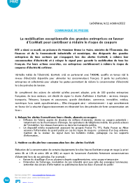 RTE_Ecowatt_Engagements_des_partenaires.pdf thumbnail