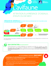 2023-03-23-avifaune-fiche.pdf thumbnail