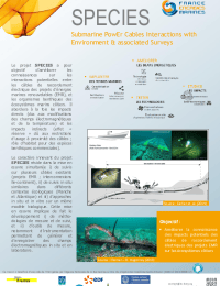 FEM_Plaquette projet SPECIES.pdf thumbnail