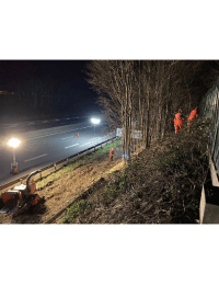 RTE_Valenciennes_Vegetation photos.pdf thumbnail