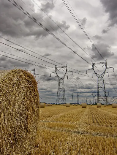 Pylones RTE dans un champ_Crédit Romain Kirschstetter 