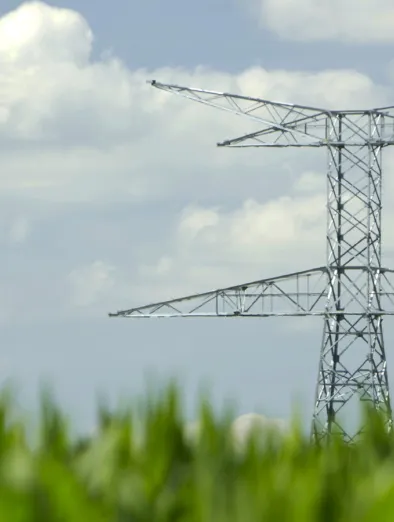 Perte de ligne cover