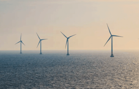 Photographie d'un parc éolien en mer